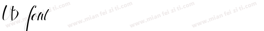 VD font字体转换
